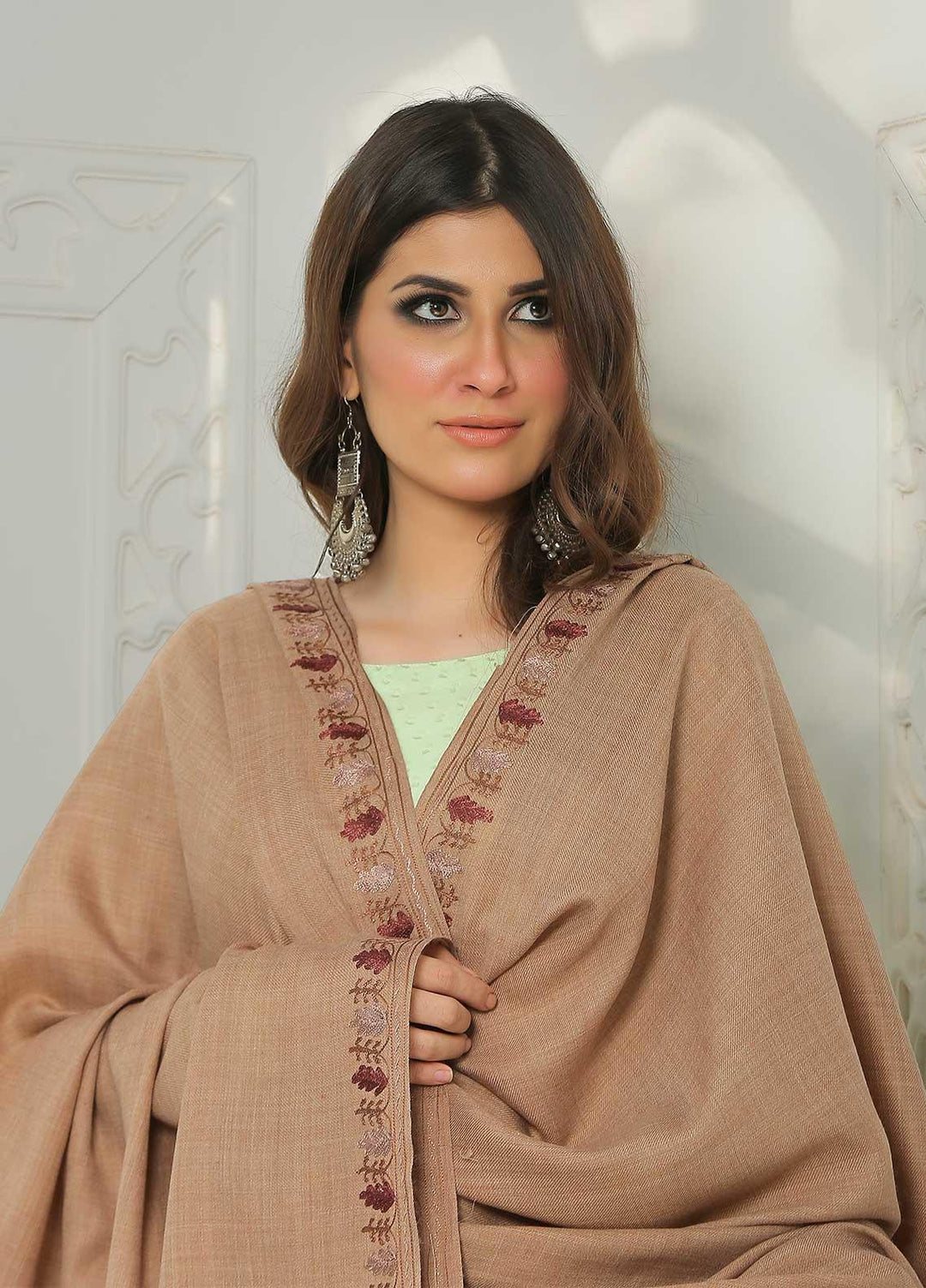 Sanaulla Exclusive Range Embroidered Pashmina  Shawl AKP-39 Brown-2 - Pashmina Shawls