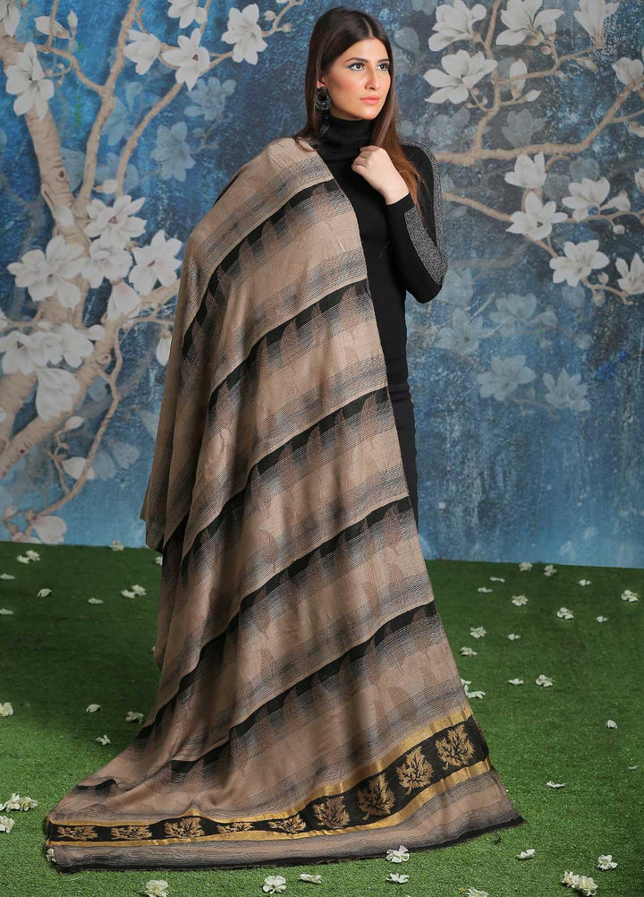 Sanaulla Exclusive Range  Pashmina  Shawl SU21PP AKP-47 Grey-2 - Pure Pashmina Shawls