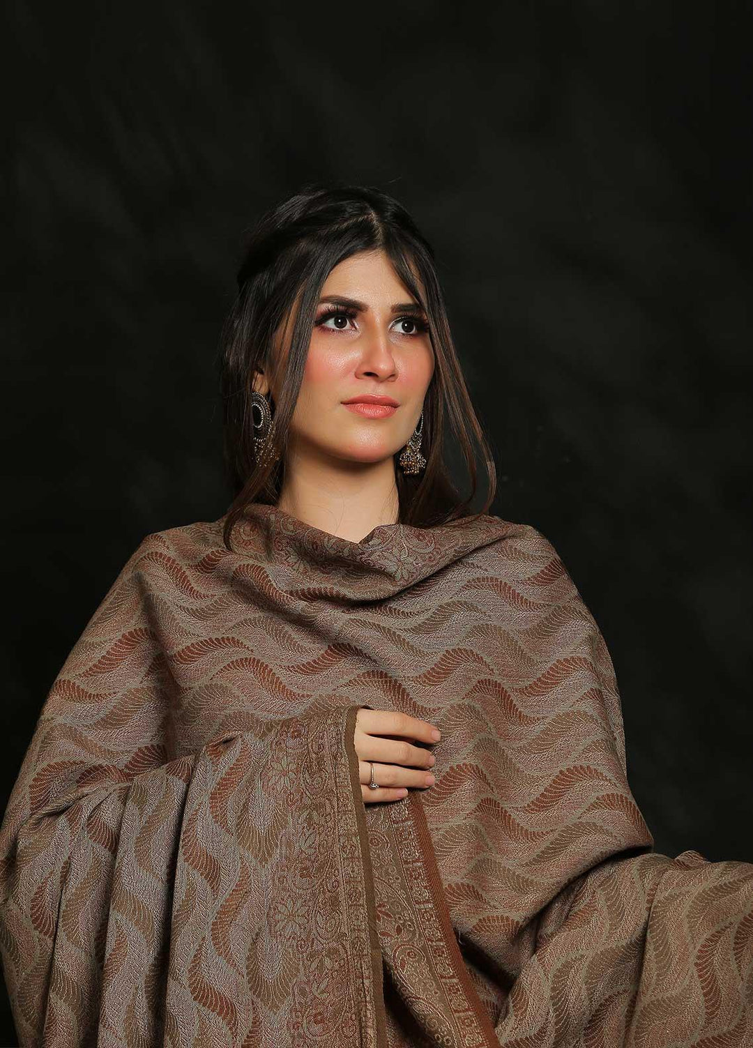 Sanaulla Exclusive Range Embroidered Pashmina  Shawl AKP-50 Brown-10 - Pashmina Shawls