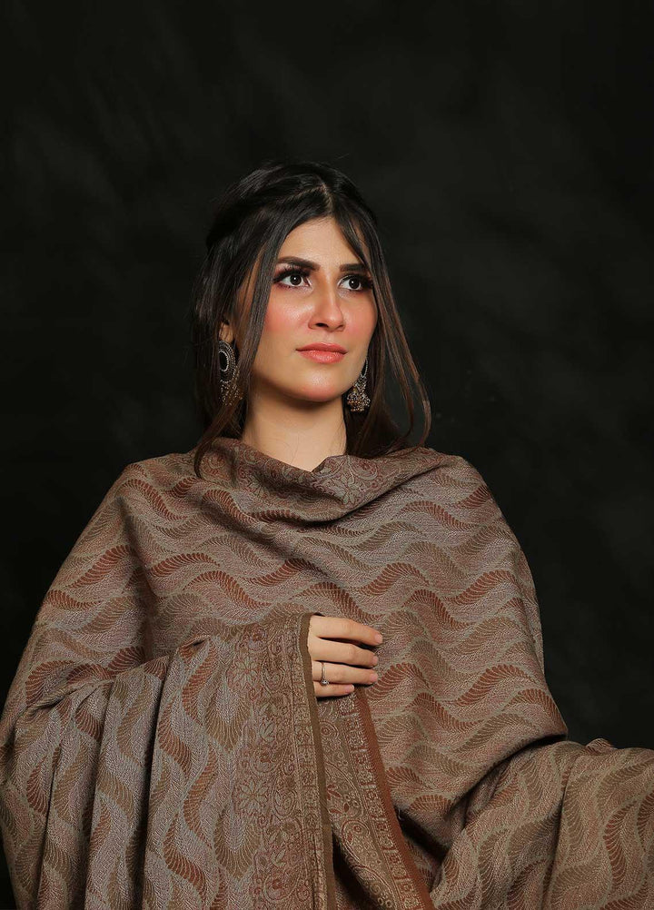 Sanaulla Exclusive Range Embroidered Pashmina  Shawl AKP-50 Brown-10 - Pashmina Shawls
