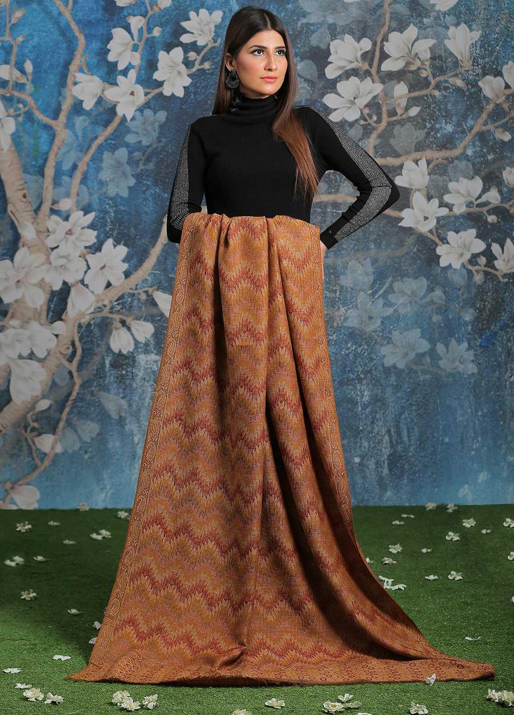 Sanaulla Exclusive Range  Pashmina  Shawl SU21PP AKP-50 Brown-2 - Pure Pashmina Shawls