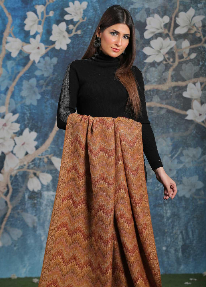 Sanaulla Exclusive Range  Pashmina  Shawl SU21PP AKP-50 Brown-2 - Pure Pashmina Shawls