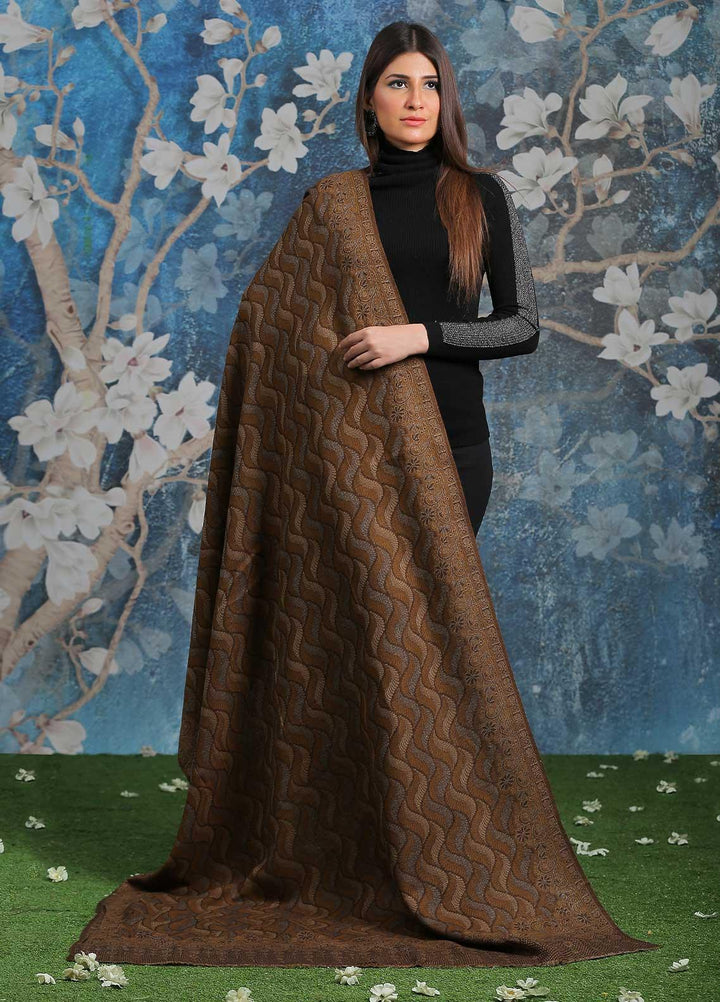 Sanaulla Exclusive Range  Pashmina  Shawl SU21PP AKP-50 Brown-6 - Pure Pashmina Shawls