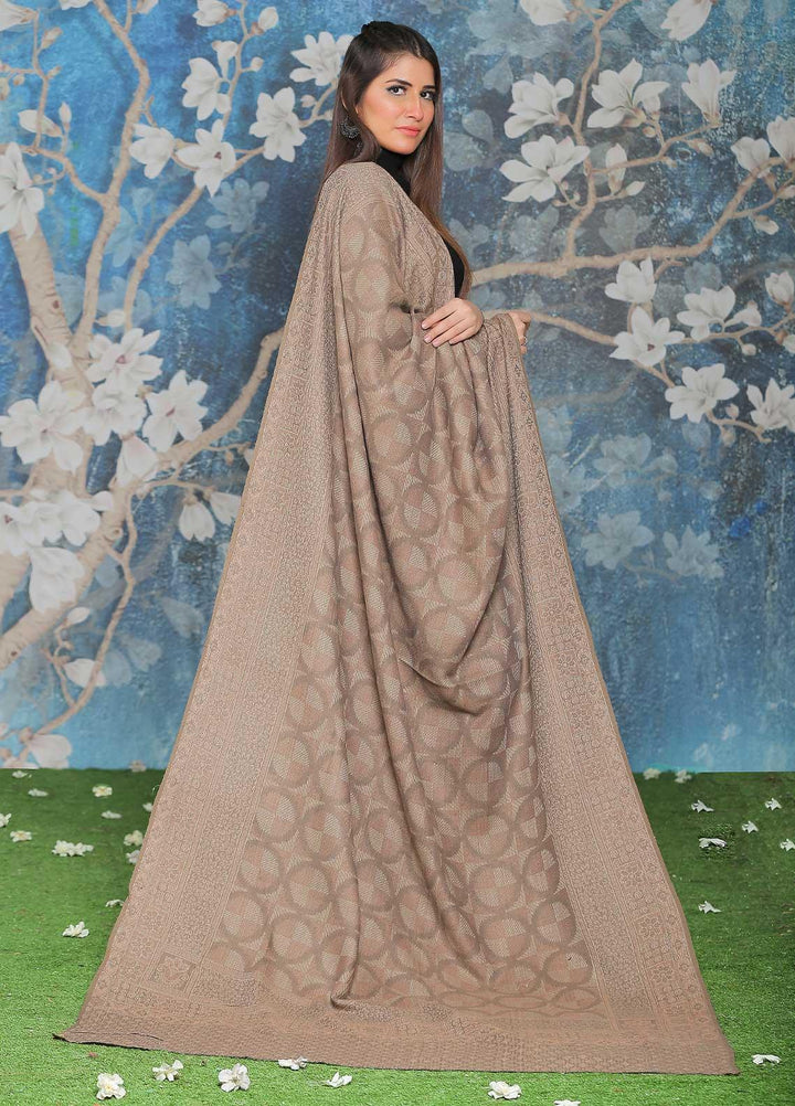 Sanaulla Exclusive Range Embroidered Pashmina  Shawl AKP-50 D Brown-5 - Pashmina Shawls