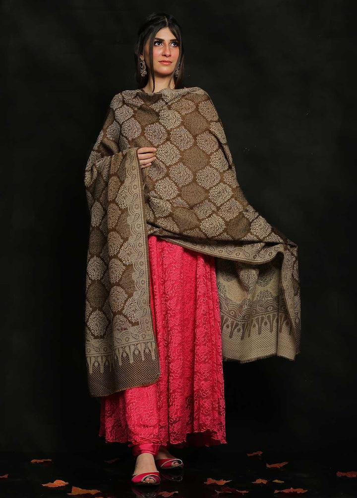 Sanaulla Exclusive Range Embroidered Pashmina  Shawl AKP-50 D Brown-9 - Pashmina Shawls
