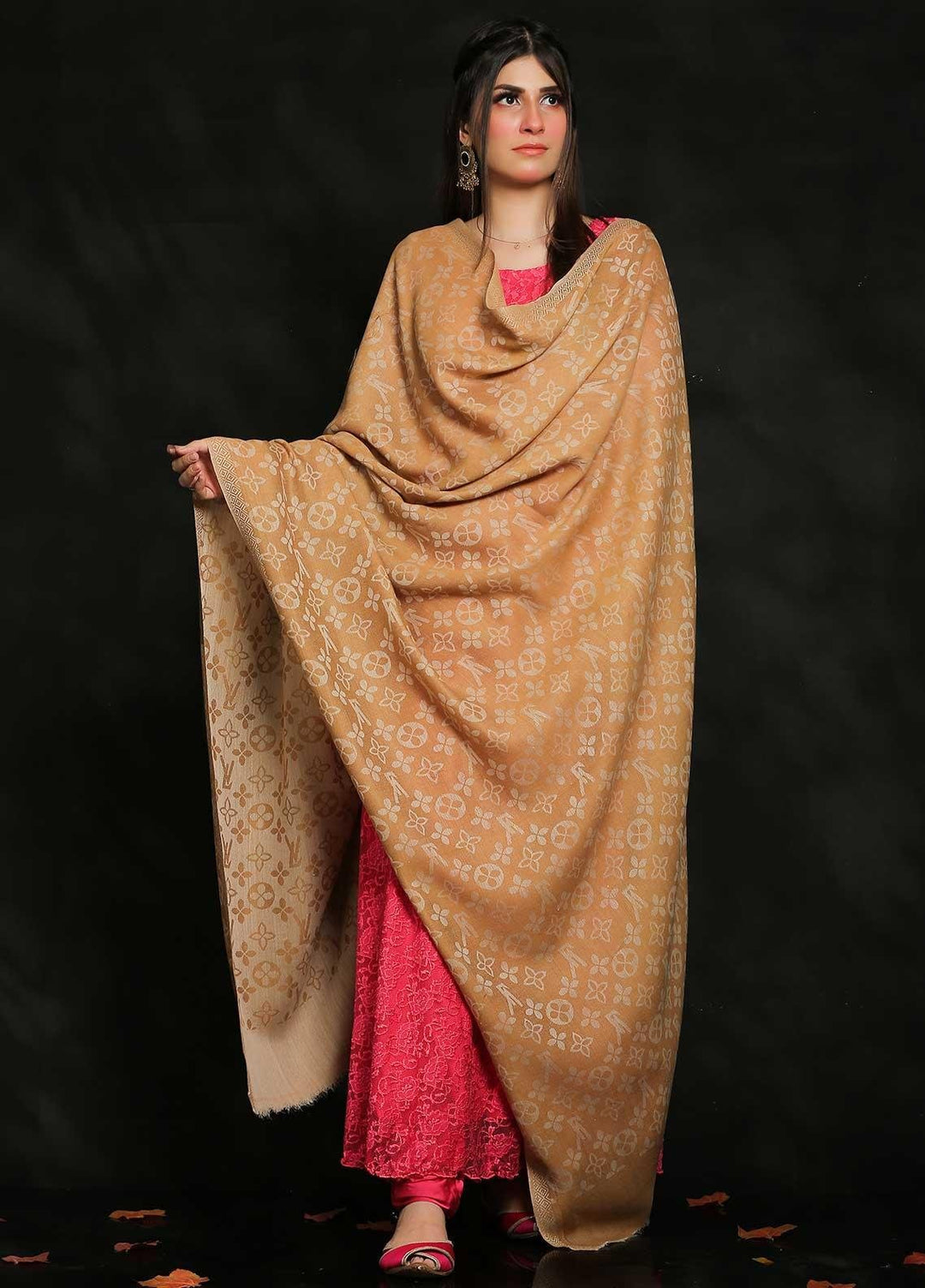 Sanaulla Exclusive Range Embroidered Pashmina  Shawl AKP-52 Brown-1 - Pashmina Shawls