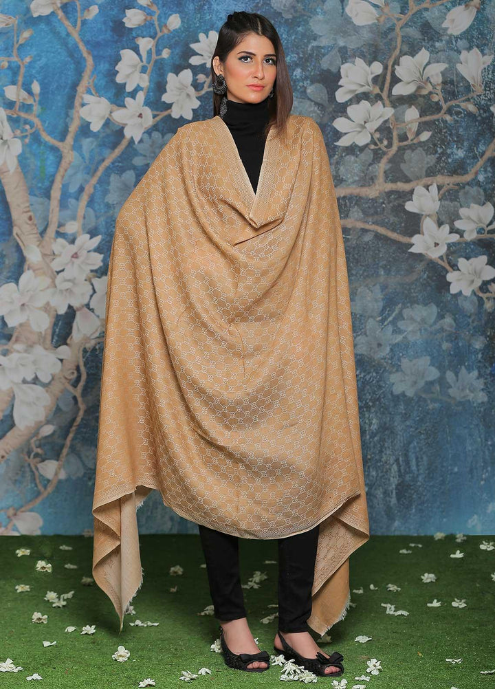 Sanaulla Exclusive Range Embroidered Pashmina  Shawl AKP-52 Brown-2 - Pashmina Shawls