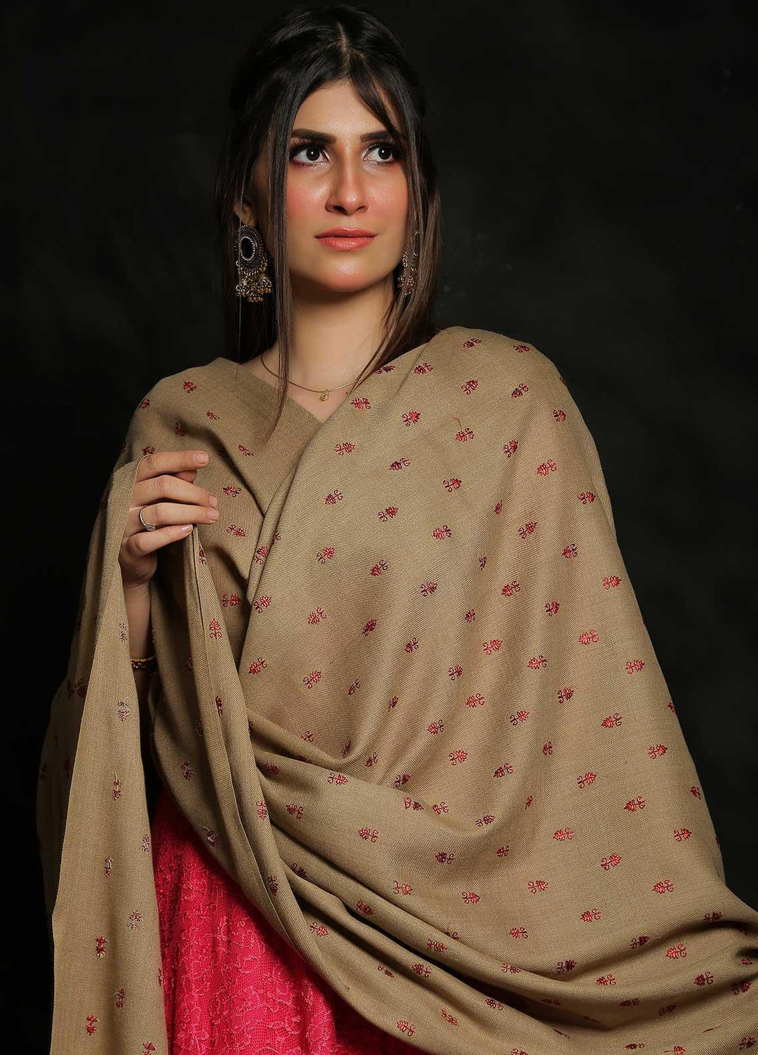 Sanaulla Exclusive Range Embroidered Pashmina  Shawl MIR-07 Brown 13 - Pashmina Shawls
