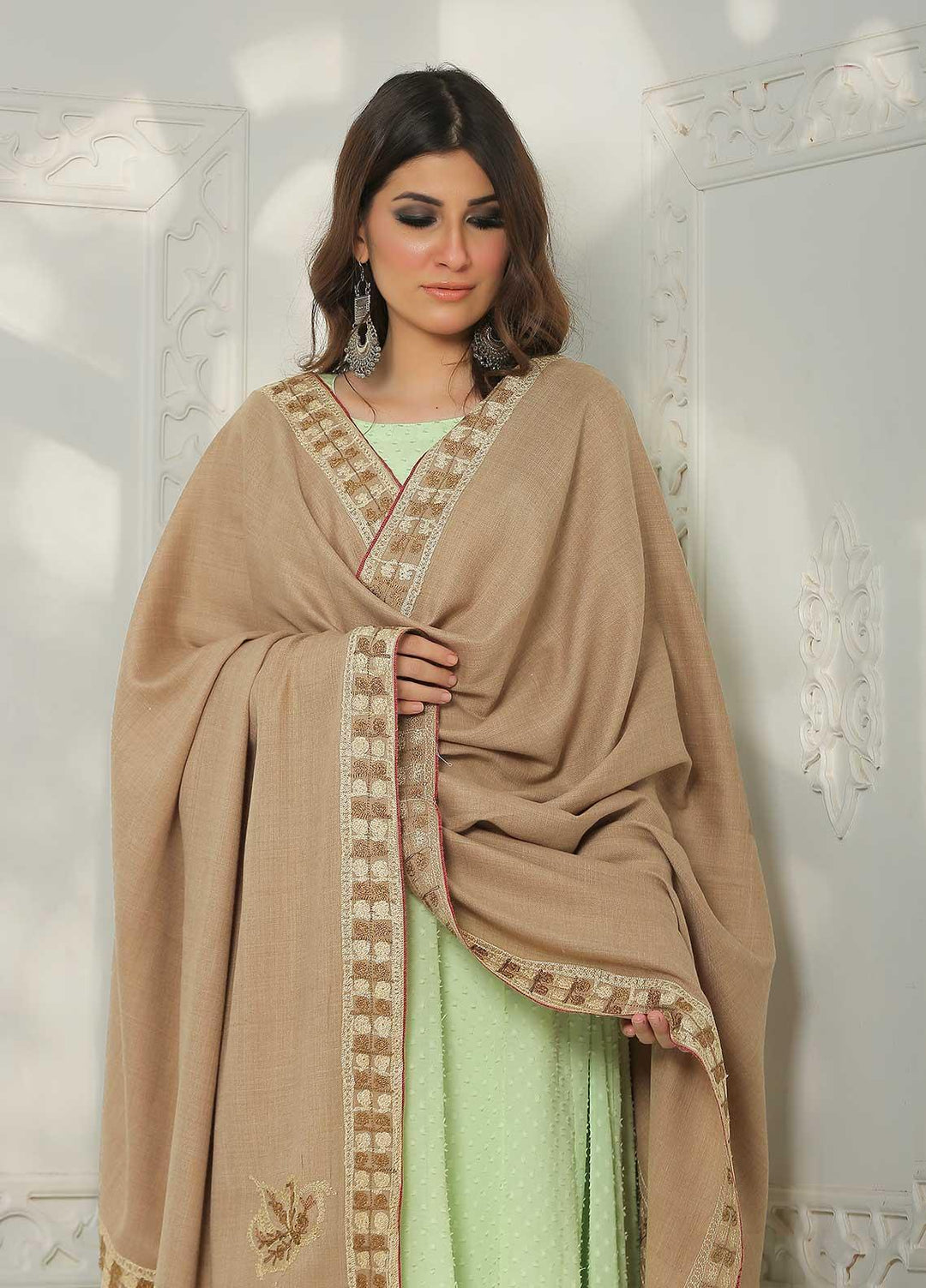 Sanaulla Exclusive Range Embroidered Pashmina  Shawl MIR-10 Brown 2 - Pashmina Shawls