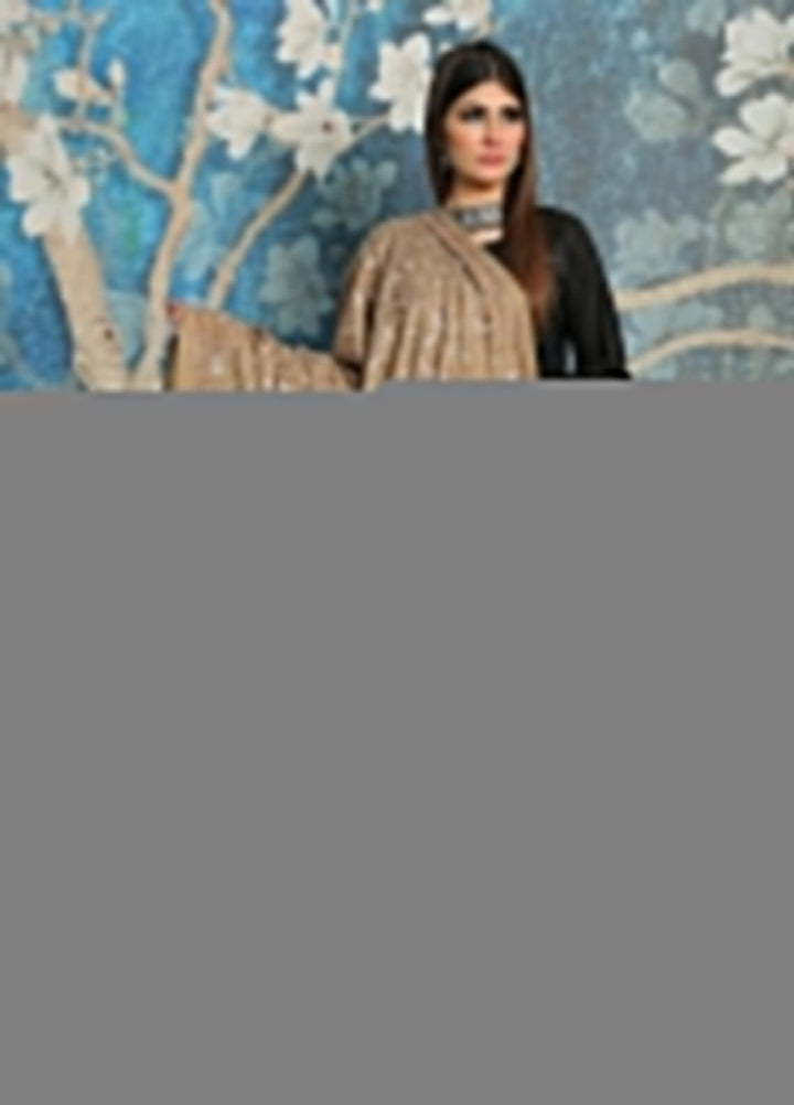 Sanaulla Exclusive Range Embroidered Pashmina  Shawl MIR-13 Brown 5 - Pashmina Shawls