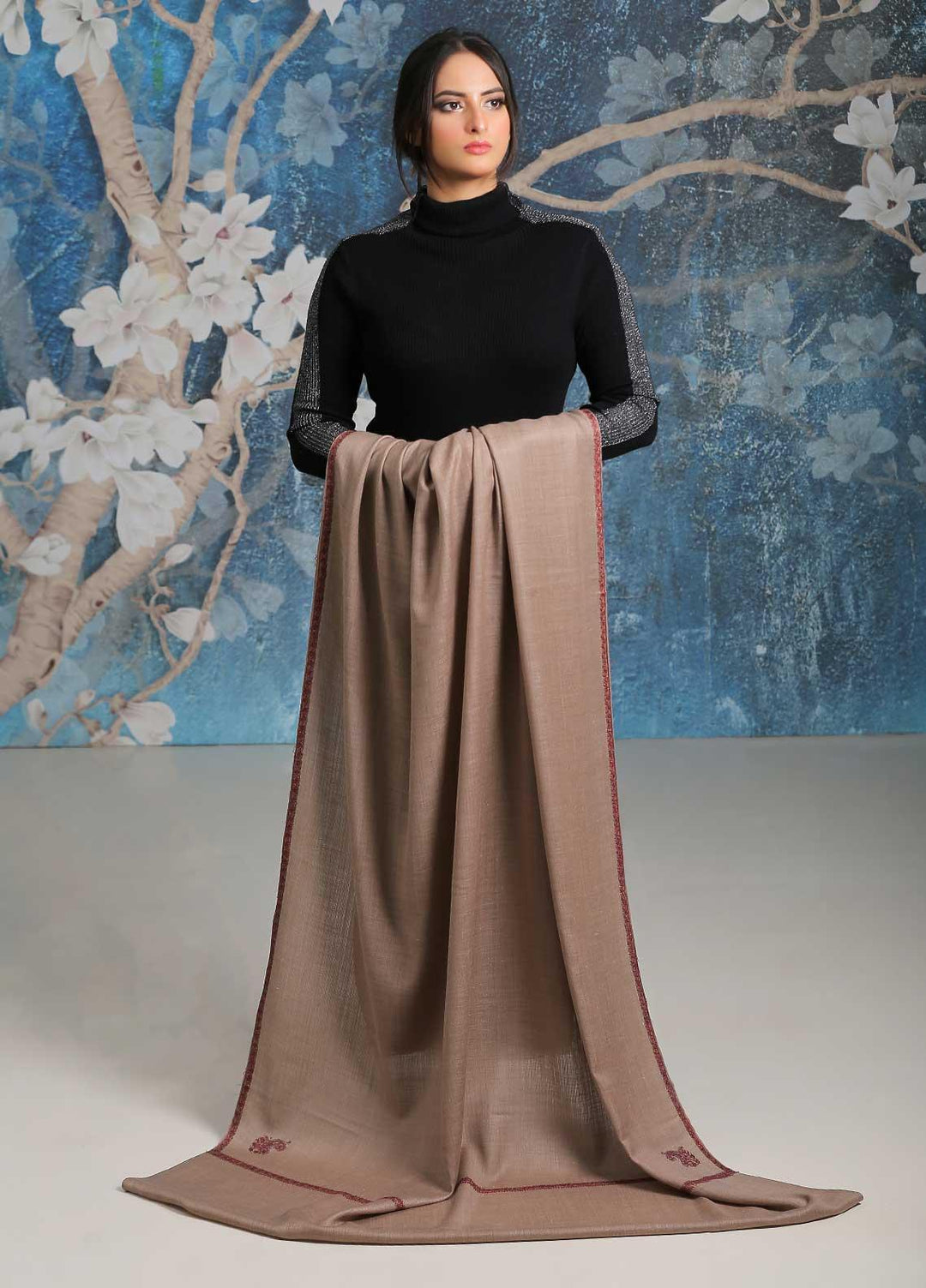 Sanaulla Exclusive Range  Pashmina  Shawl SU21PP MIR-27 Brown 2 - Pure Pashmina Shawls