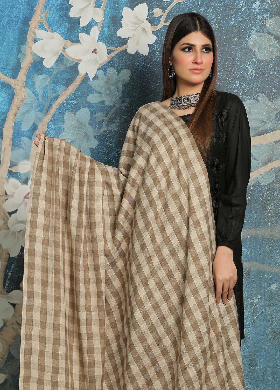 Sanaulla Exclusive Range Embroidered Pashmina  Shawl MIR-40 Brown 2 - Pashmina Shawls