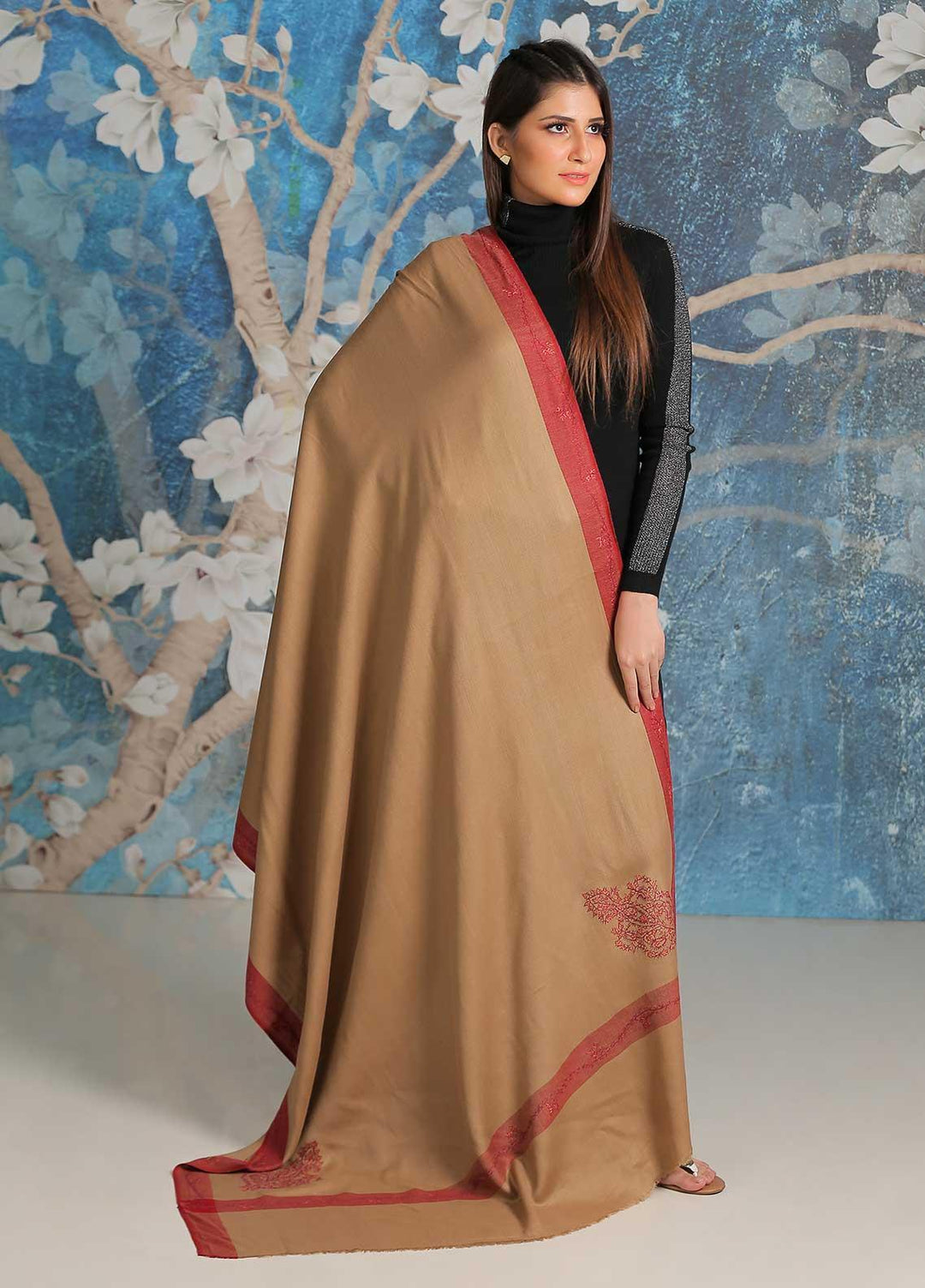 Sanaulla Exclusive Range  Pashmina  Shawl SU21PP MIR-42 Brown 2 - Pure Pashmina Shawls