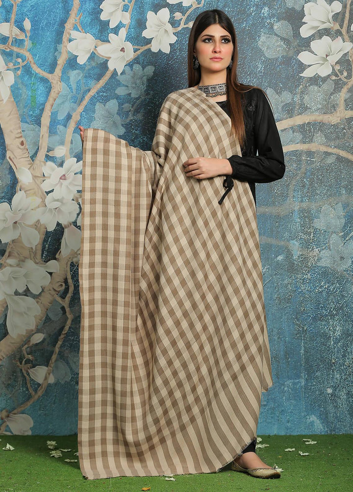 Sanaulla Exclusive Range Embroidered Pashmina  Shawl MIR-746-D-Brown - Pashmina Shawls