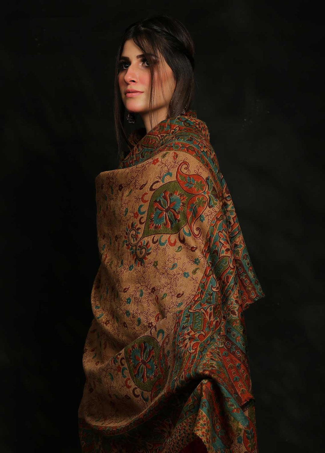 Sanaulla Exclusive Range Embroidered Pashmina  Shawl MIR-91 Brown2 - Pashmina Shawls