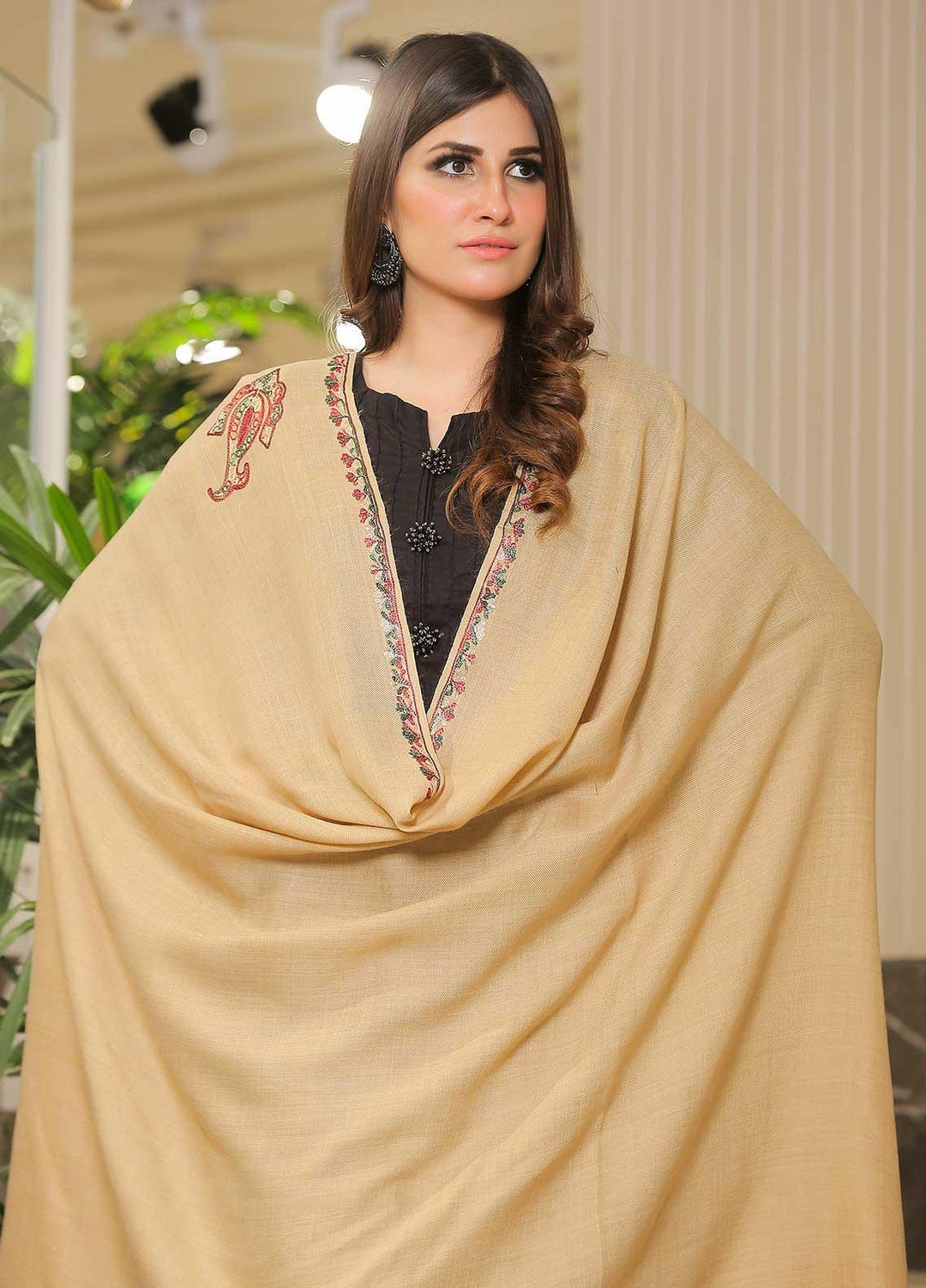 Sanaulla Exclusive Range Pashmina Shawl SU21PP AKP-05 Beige Pure Pashmina Shawls