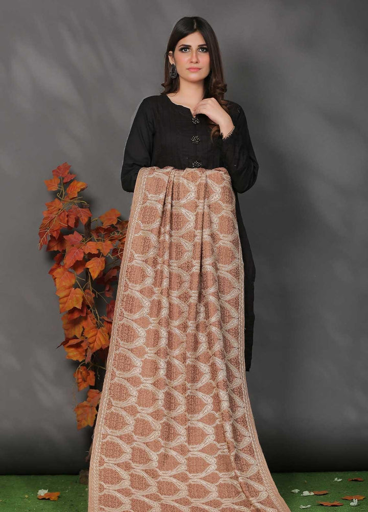 Sanaulla Exclusive Range Pashmina Shawl SU21PP AKP-23 L Brown-1 Pure Pashmina Shawls