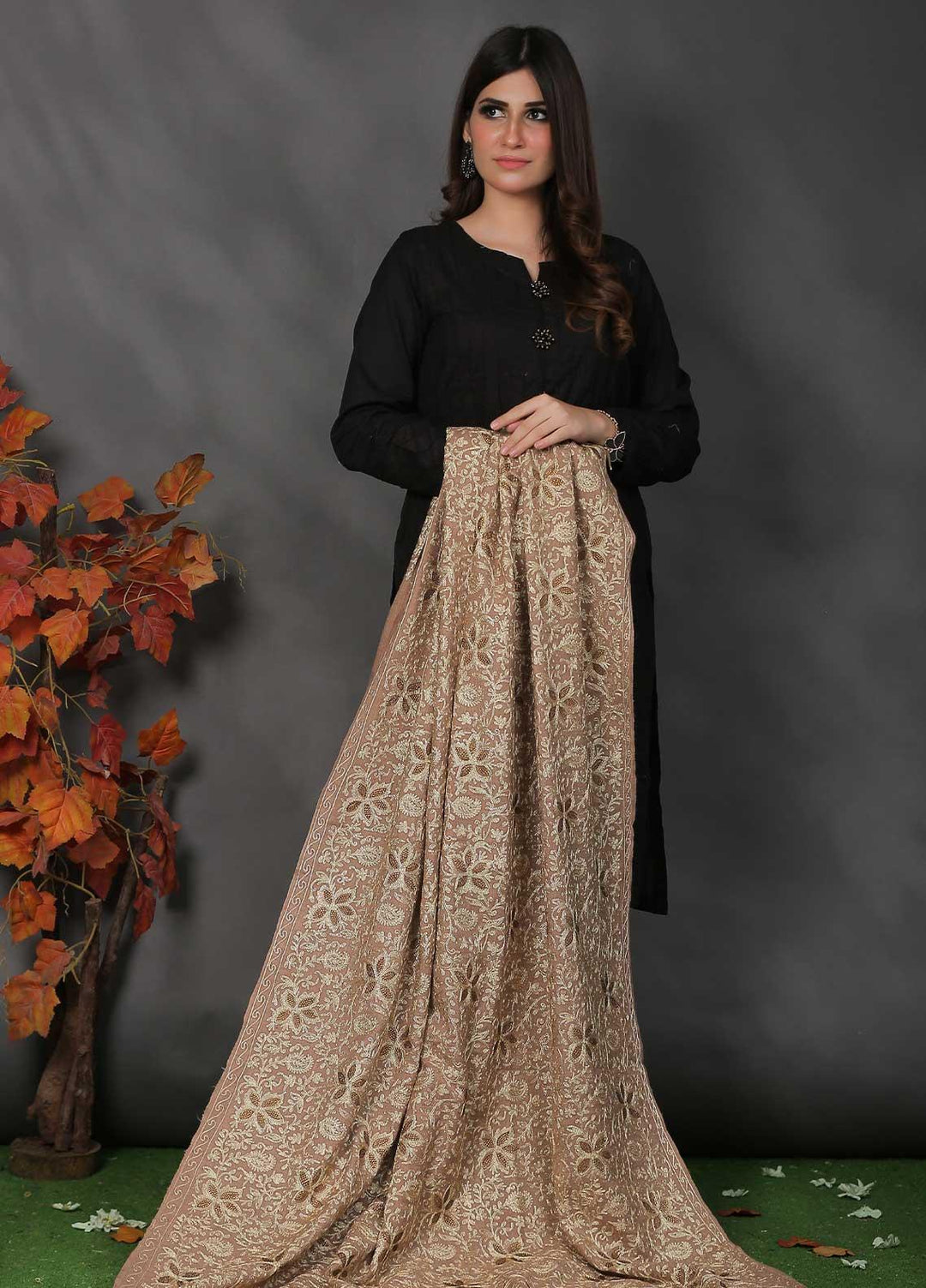 Sanaulla Exclusive Range Pashmina Shawl SU21PP AKP-33 Beige Pure Pashmina Shawls