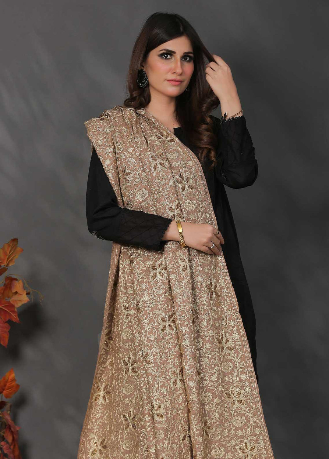 Sanaulla Exclusive Range Pashmina Shawl SU21PP AKP-33 Beige Pure Pashmina Shawls