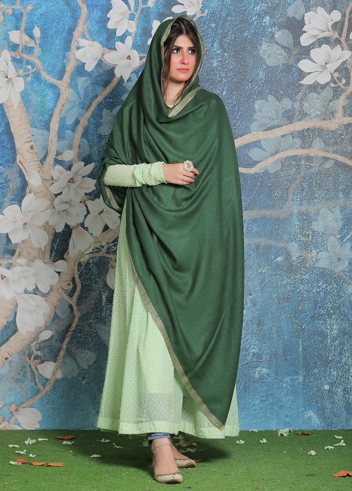 Sanaulla Exclusive Range Pashmina Shawl SU21PP AKP-45 Green Pure Pashmina Shawls