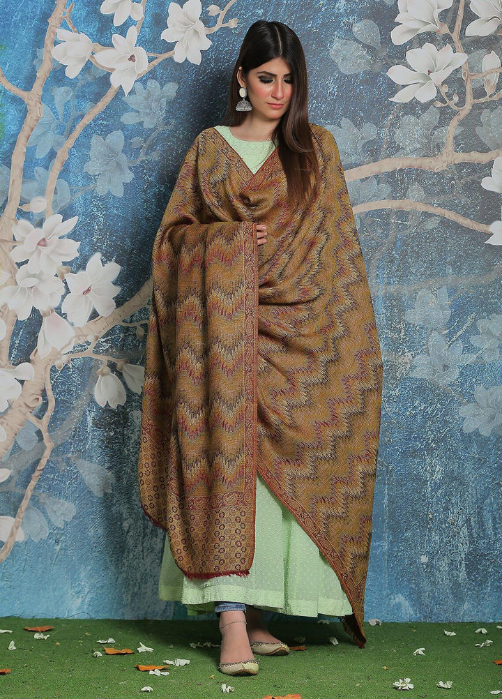 Sanaulla Exclusive Range Pashmina Shawl SU21PP AKP-50 Maroon-3 Pure Pashmina Shawls