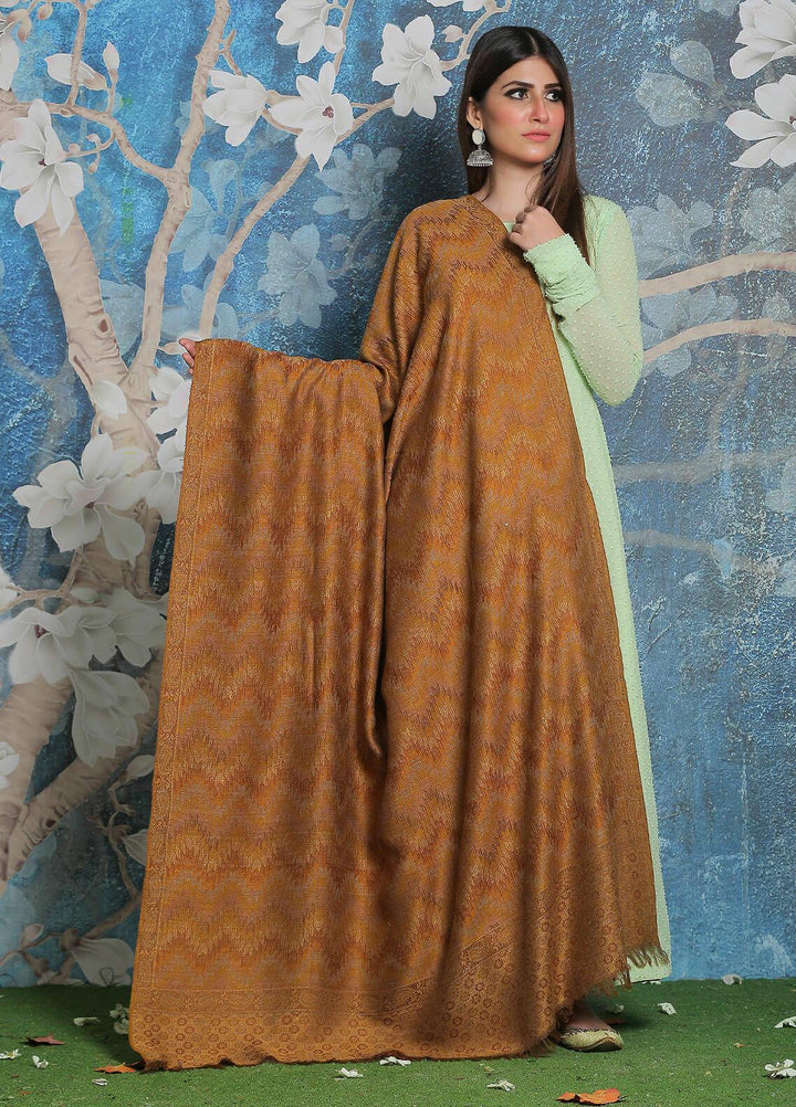 Sanaulla Exclusive Range Pashmina Shawl SU21PP AKP-50 Brown-1 Pure Pashmina Shawls