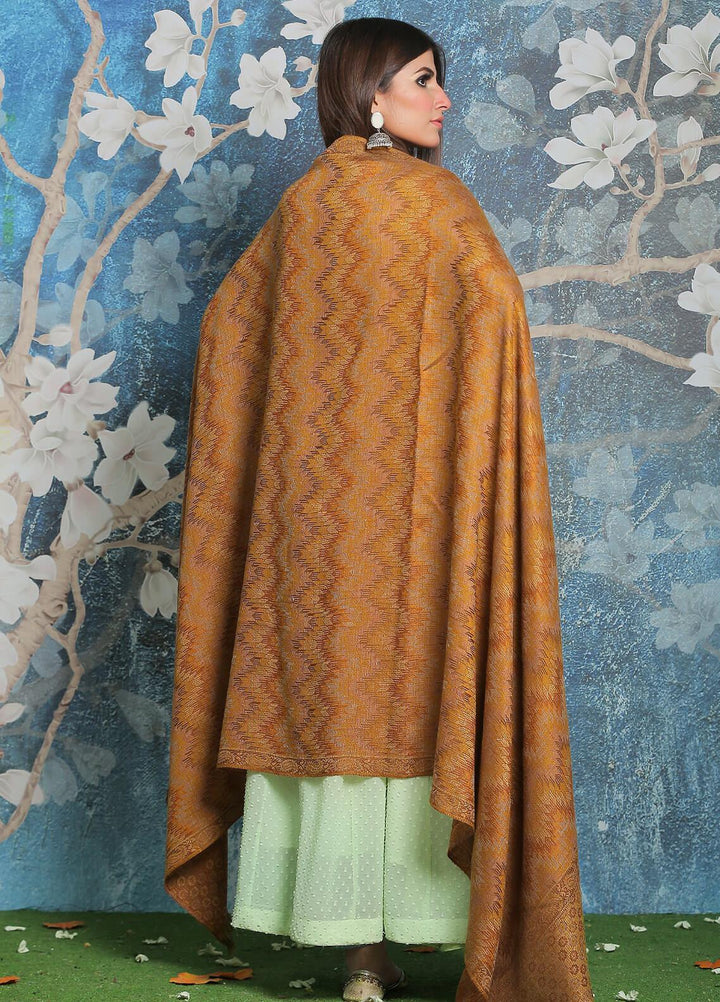 Sanaulla Exclusive Range Pashmina Shawl SU21PP AKP-50 Brown-1 Pure Pashmina Shawls