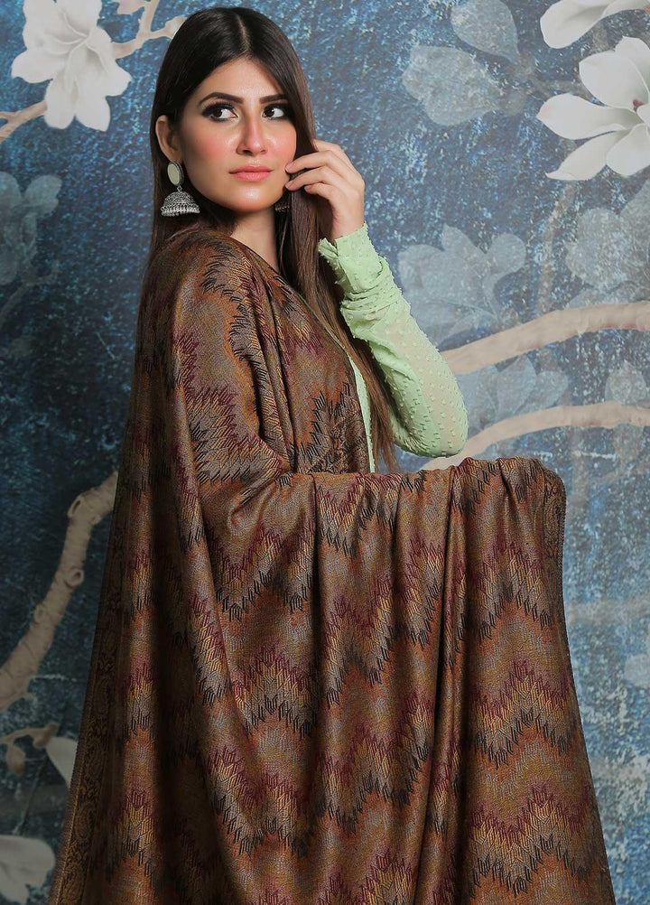 Sanaulla Exclusive Range Pashmina Shawl SU21PP AKP-50 Brown-3 Pure Pashmina Shawls