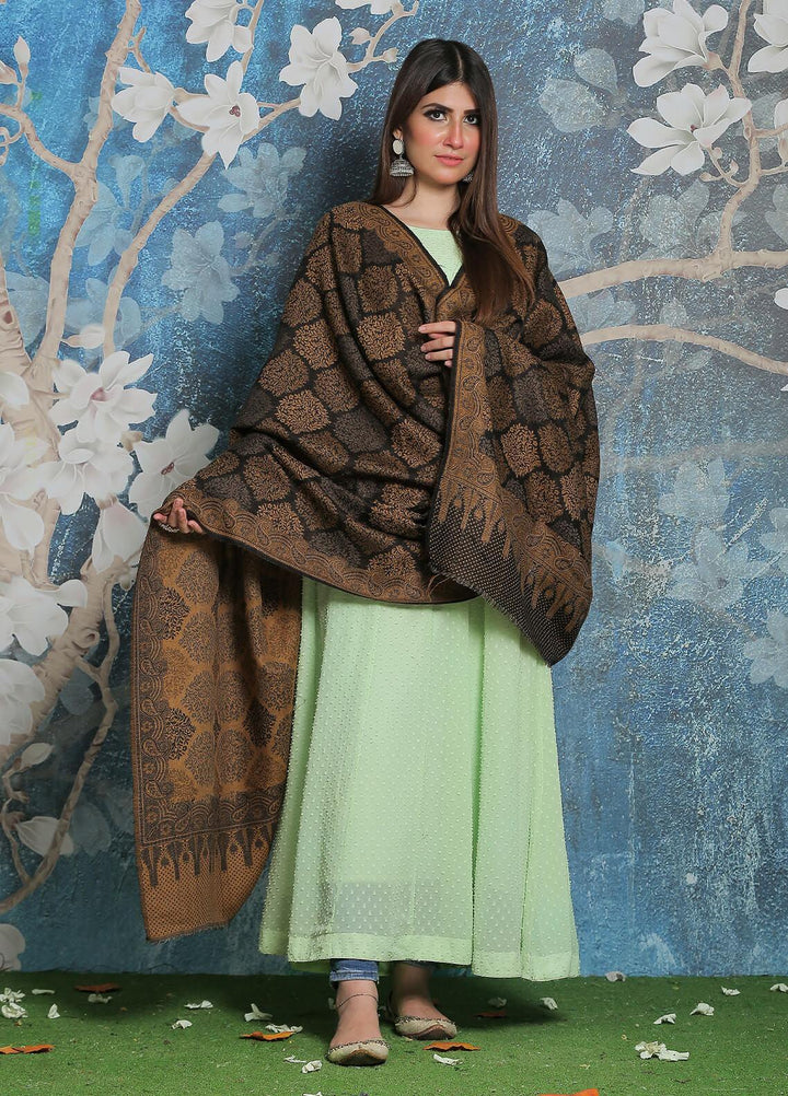 Sanaulla Exclusive Range Pashmina Shawl SU21PP AKP-50 Black-2 Pure Pashmina Shawls