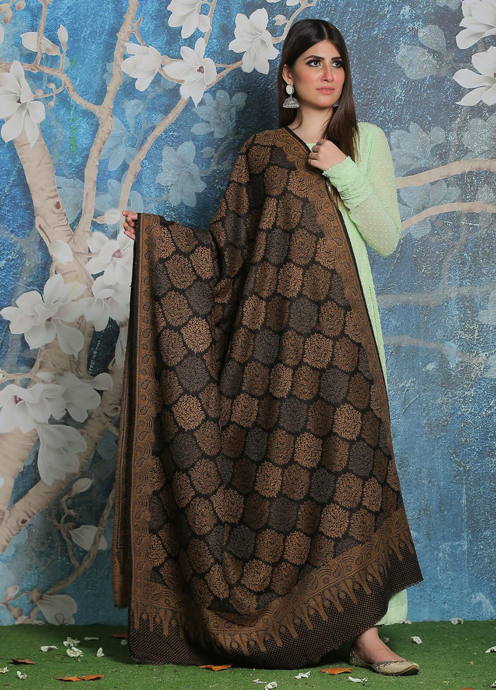 Sanaulla Exclusive Range Pashmina Shawl SU21PP AKP-50 Black-2 Pure Pashmina Shawls