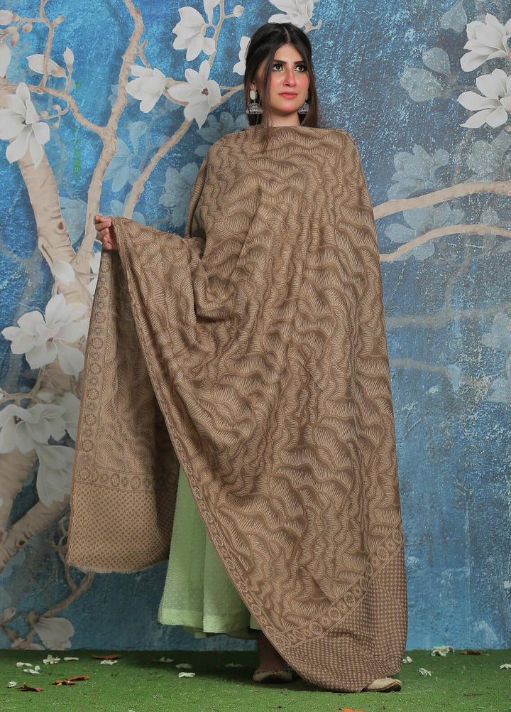 Sanaulla Exclusive Range Pashmina Shawl SU21PP AKP-50 D Brown-7 Pure Pashmina Shawls