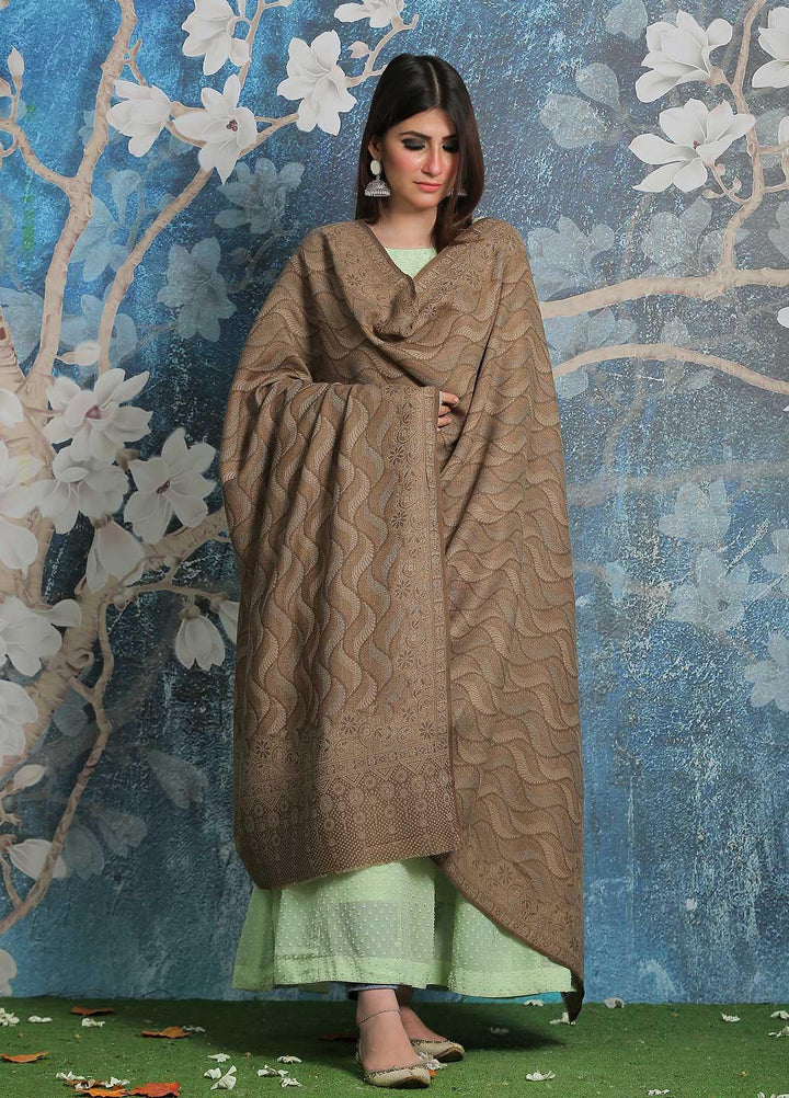 Sanaulla Exclusive Range Pashmina Shawl SU21PP AKP-50 D Brown-11 Pure Pashmina Shawls