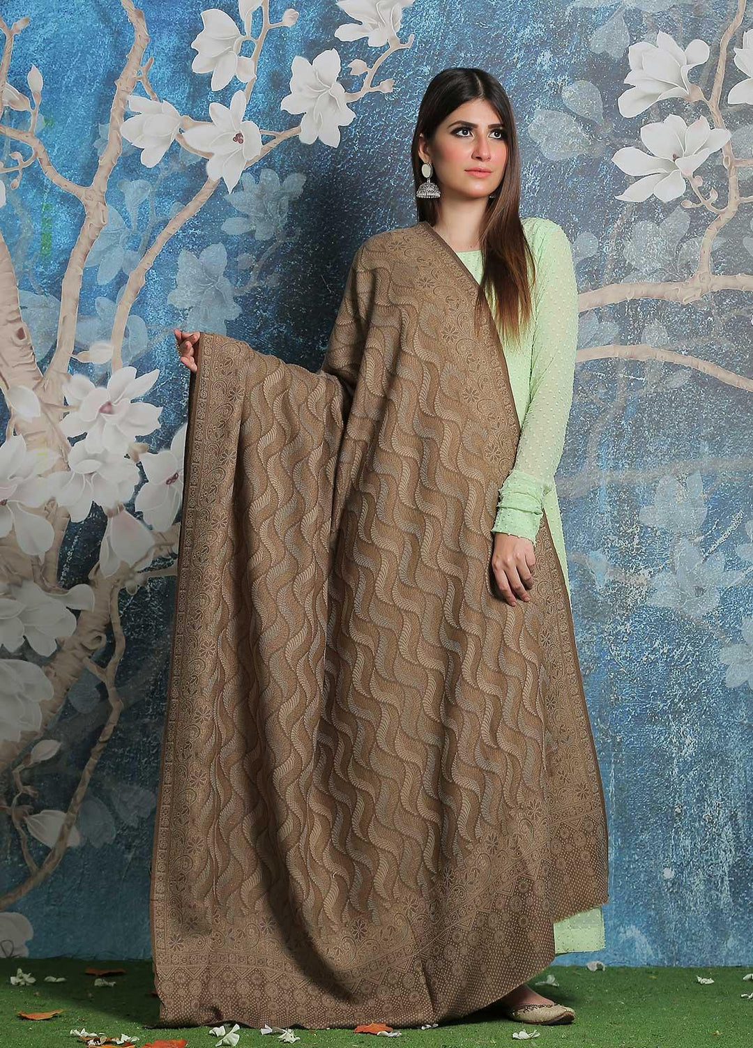 Sanaulla Exclusive Range Pashmina Shawl SU21PP AKP-50 D Brown-11 Pure Pashmina Shawls