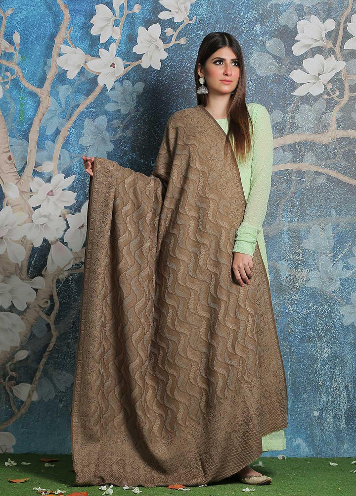 Sanaulla Exclusive Range Pashmina Shawl SU21PP AKP-50 D Brown-11 Pure Pashmina Shawls