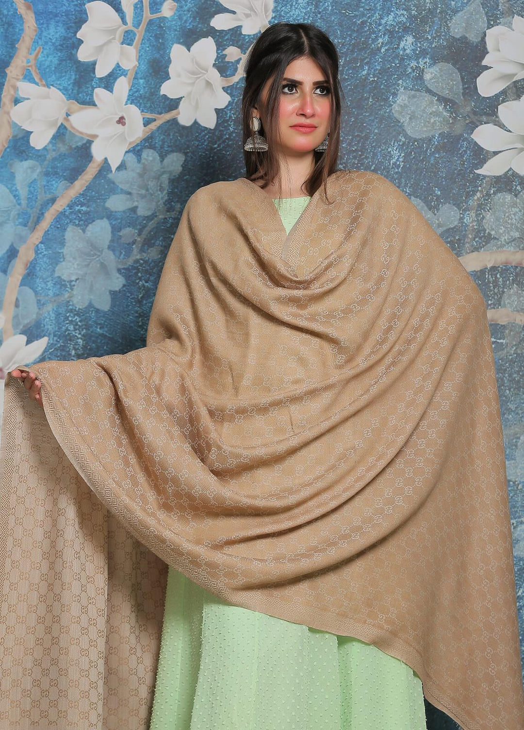 Sanaulla Exclusive Range Pashmina Shawl SU21PP AKP-52 Fawn-4 Pure Pashmina Shawls