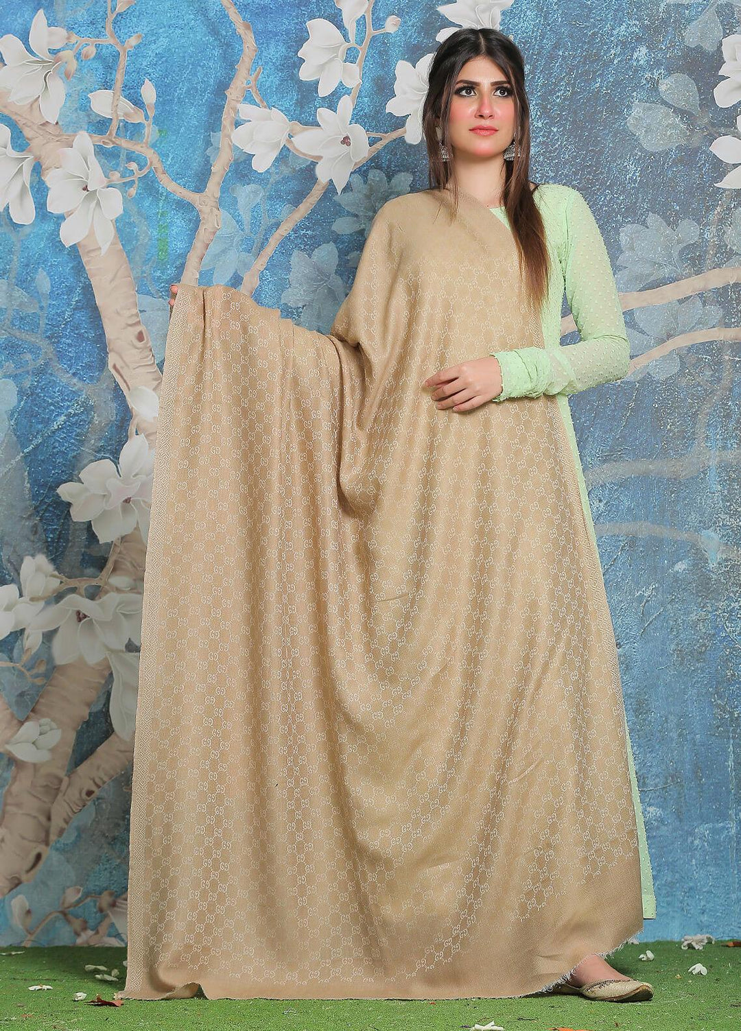 Sanaulla Exclusive Range Pashmina Shawl SU21PP AKP-52 Fawn-5 Pure Pashmina Shawls