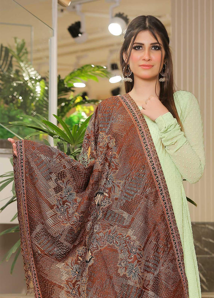 Sanaulla Exclusive Range Pashmina Shawl SU21PP MIR-37 D Brown Pure Pashmina Shawls