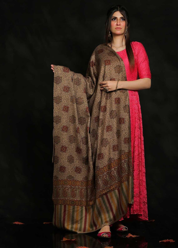 Sanaulla Exclusive Range Printed Pashmina  Shawl Shawl 104384 - Pashmina Shawls