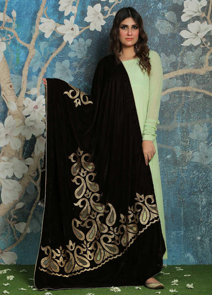 Sanaulla Exclusive Range  Pashmina  Shawl SU21PP AKP-226 Brown1 - Pure Pashmina Shawls