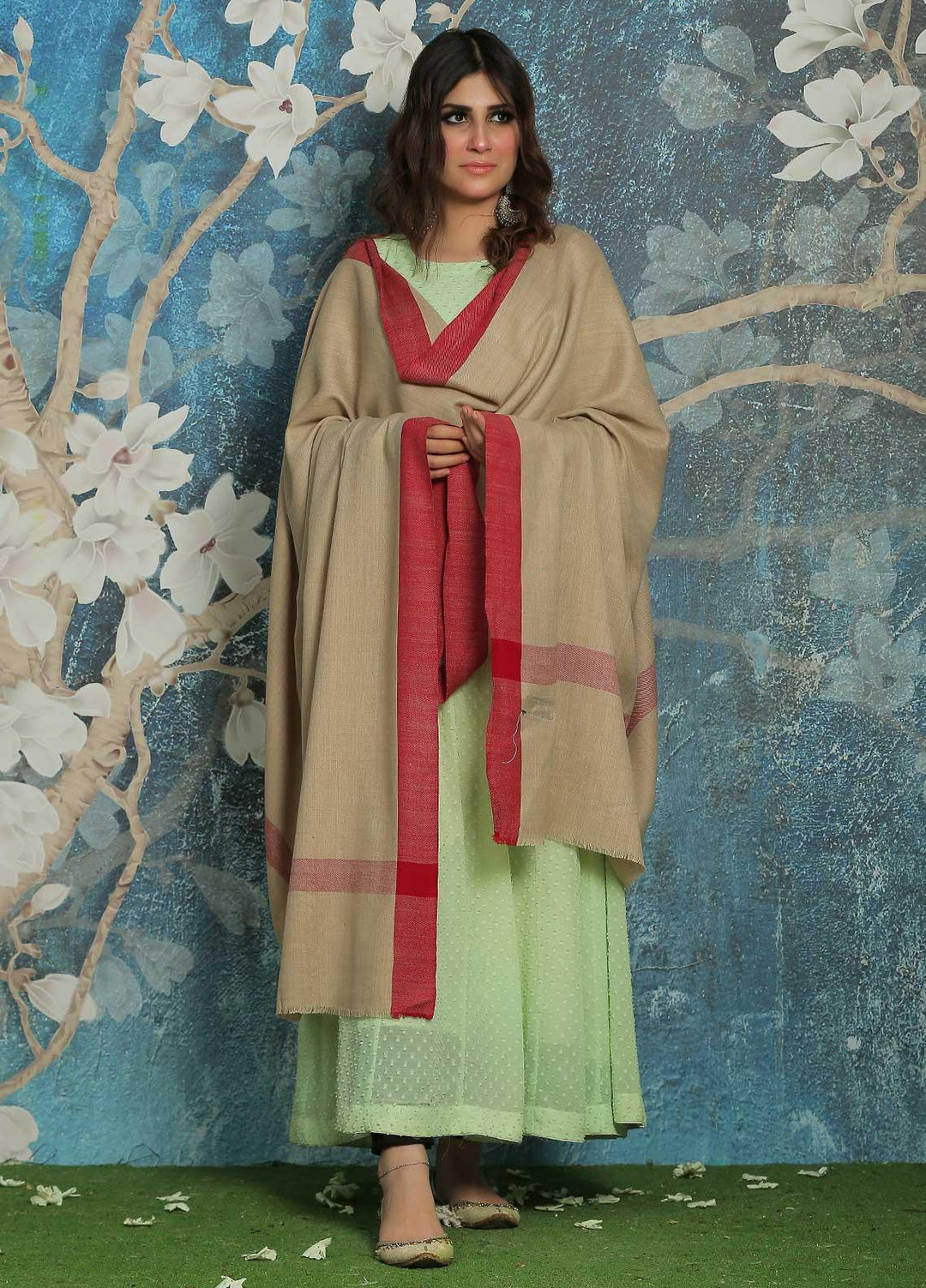 Sanaulla Exclusive Range  Pashmina  Shawl SU21PP MIR-754-L-Beige - Pure Pashmina Shawls