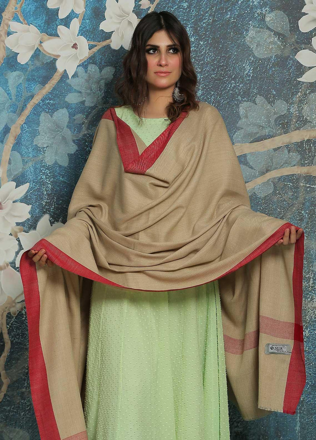 Sanaulla Exclusive Range  Pashmina  Shawl SU21PP MIR-754-L-Beige - Pure Pashmina Shawls