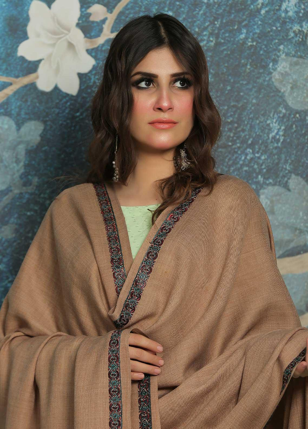 Sanaulla Exclusive Range  Pashmina  Shawl SU21PP AKP-07 Fawn-1 - Pure Pashmina Shawls