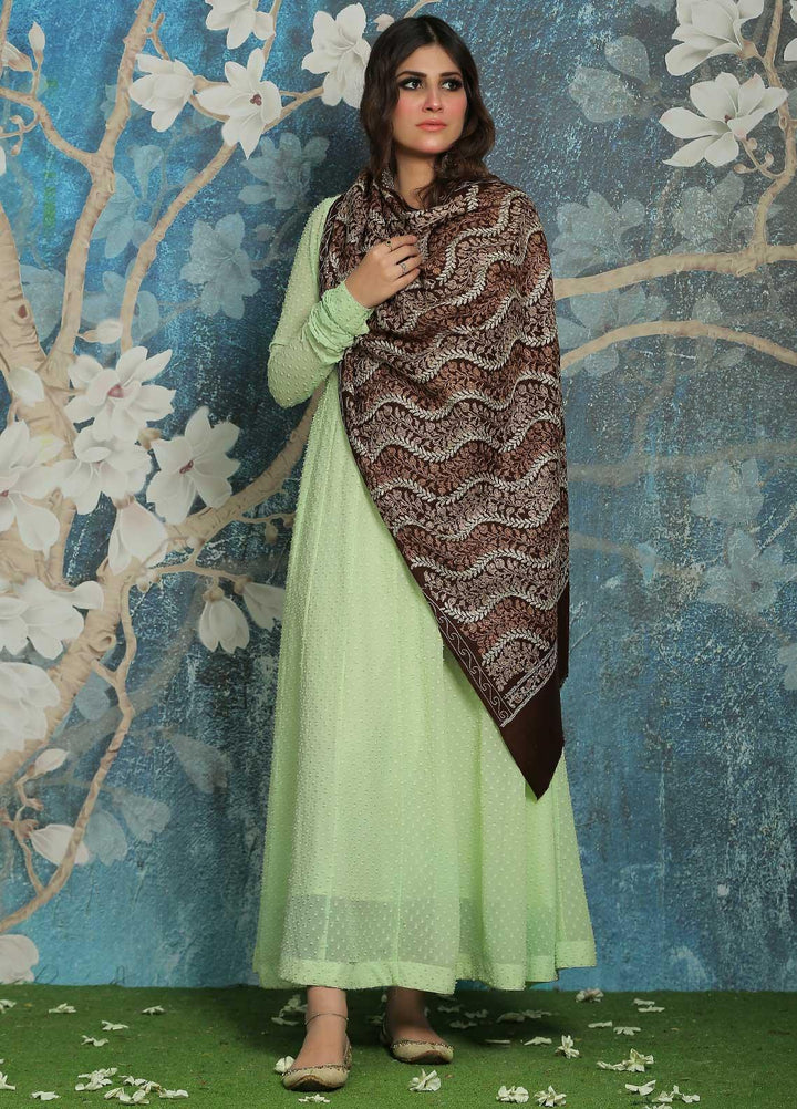 Sanaulla Exclusive Range  Pashmina  Shawl SU21PP AKP-23 Brown-1 - Pure Pashmina Shawls