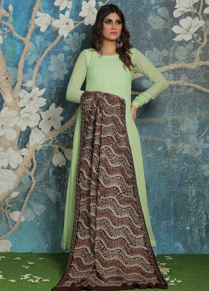 Sanaulla Exclusive Range  Pashmina  Shawl SU21PP AKP-23 Brown-1 - Pure Pashmina Shawls