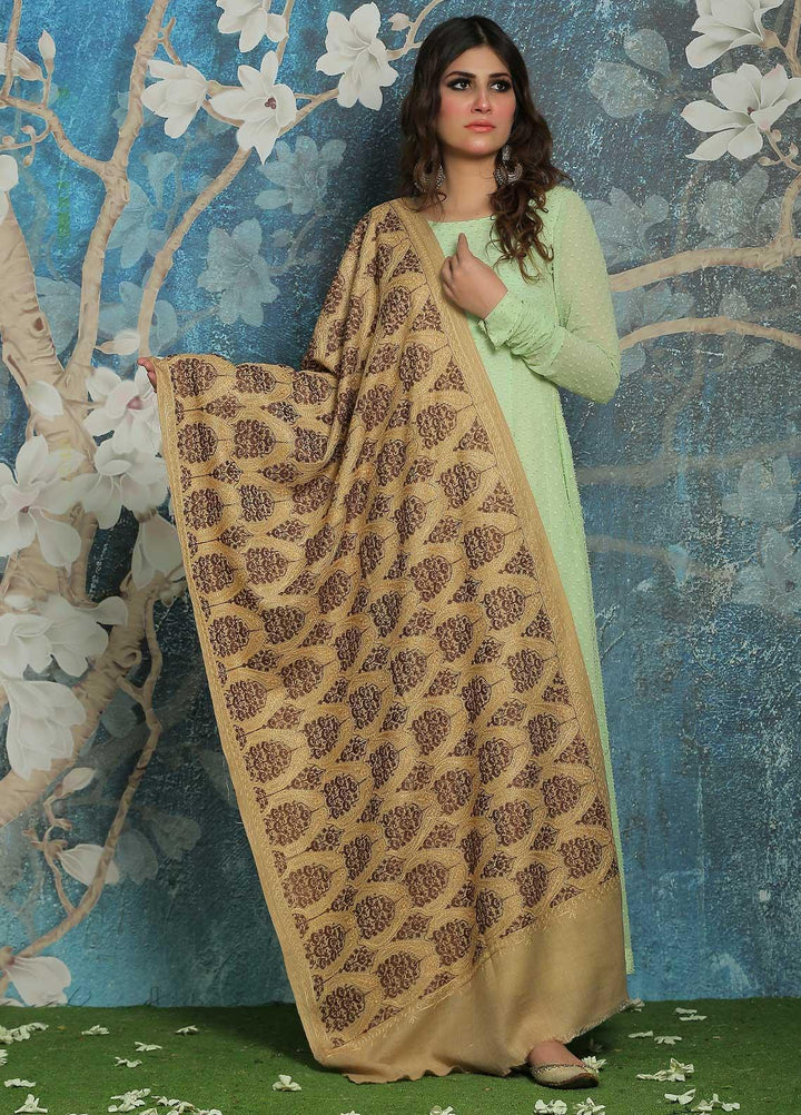 Sanaulla Exclusive Range  Pashmina  Shawl SU21PP AKP-23 Fawn-6 - Pure Pashmina Shawls