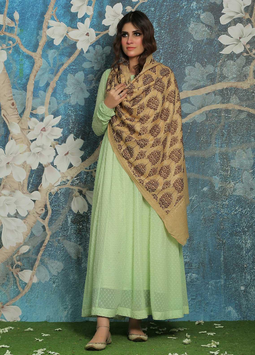 Sanaulla Exclusive Range  Pashmina  Shawl SU21PP AKP-23 Fawn-6 - Pure Pashmina Shawls