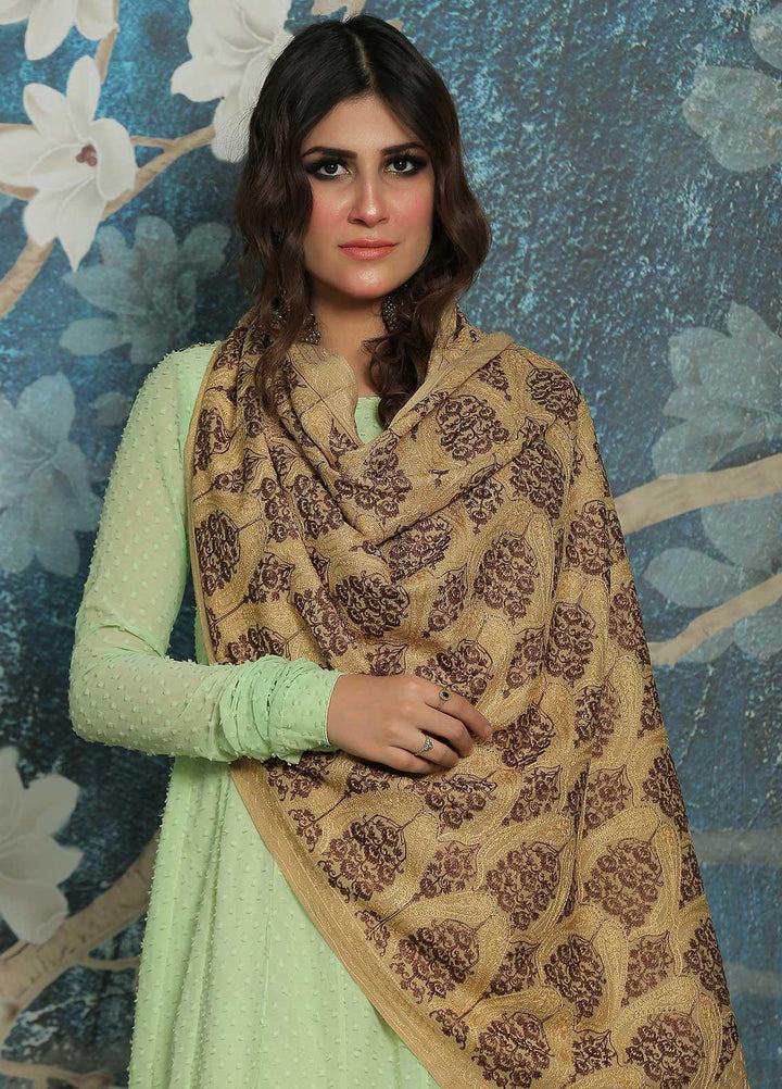 Sanaulla Exclusive Range  Pashmina  Shawl SU21PP AKP-23 Fawn-6 - Pure Pashmina Shawls