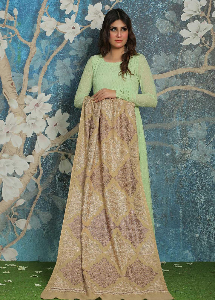 Sanaulla Exclusive Range  Pashmina  Shawl SU21PP AKP-23 Fawn-7 - Pure Pashmina Shawls