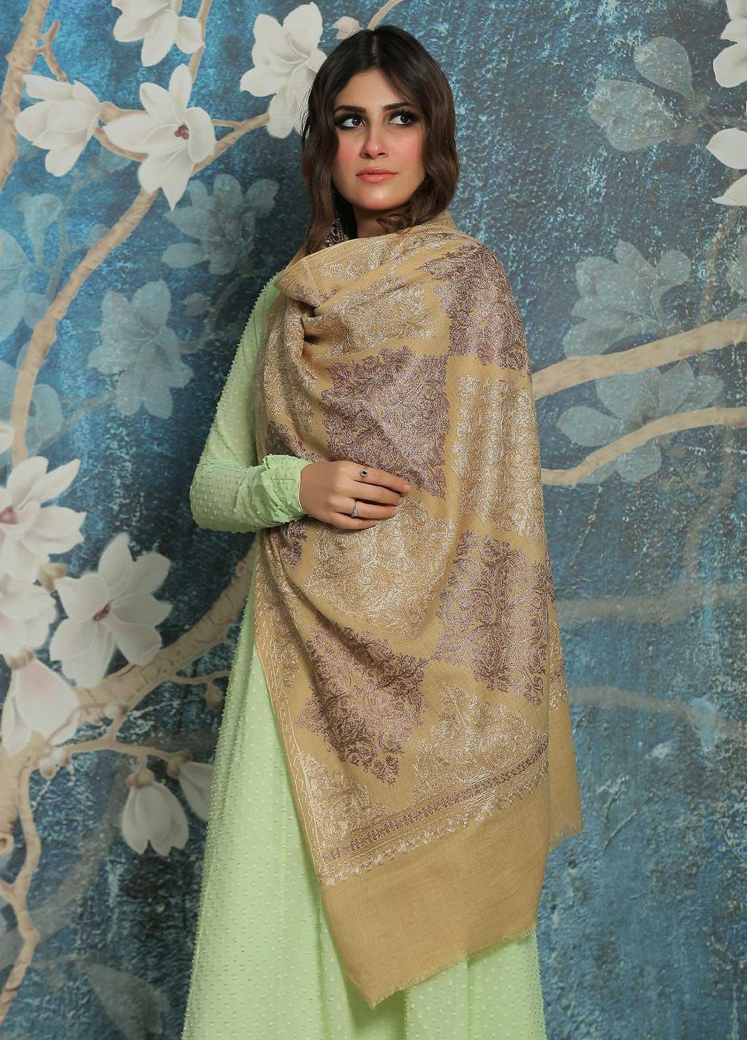 Sanaulla Exclusive Range  Pashmina  Shawl SU21PP AKP-23 Fawn-7 - Pure Pashmina Shawls