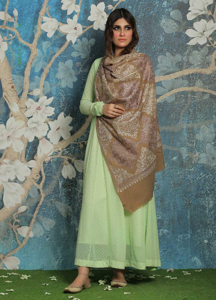 Sanaulla Exclusive Range  Pashmina  Shawl SU21PP AKP-23 L Brown-6 - Pure Pashmina Shawls